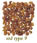 Kuru Üzüm