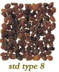 Kuru Üzüm